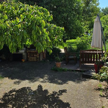 Appartement Avec Jardin A Кольмар Экстерьер фото