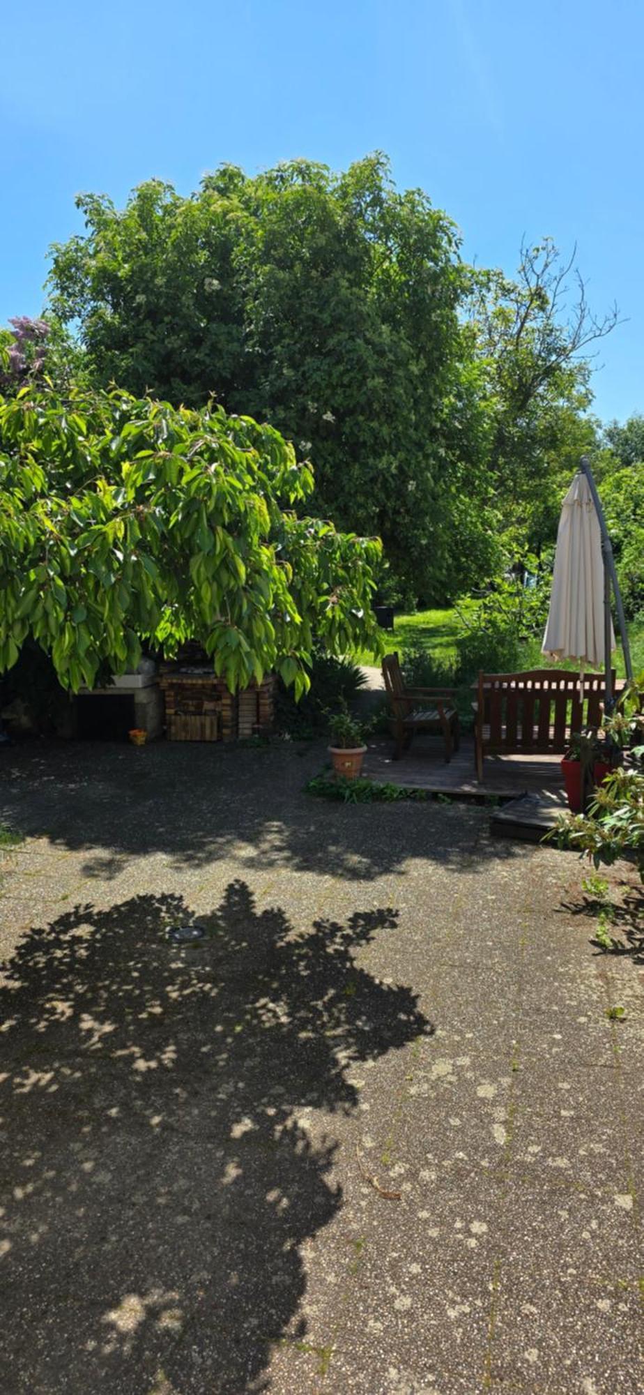 Appartement Avec Jardin A Кольмар Экстерьер фото